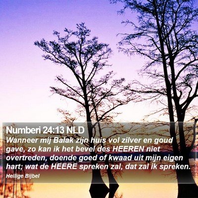 Numberi 24:13 NLD Bible Verse Image