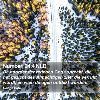 Numberi 24:4 NLD Bible Verse Image