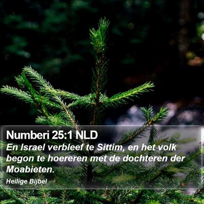 Numberi 25:1 NLD Bible Verse Image