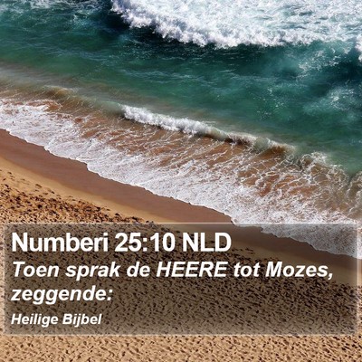 Numberi 25:10 NLD Bible Verse Image