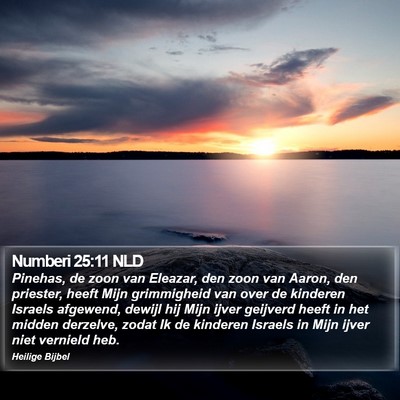 Numberi 25:11 NLD Bible Verse Image