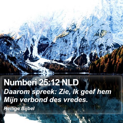 Numberi 25:12 NLD Bible Verse Image