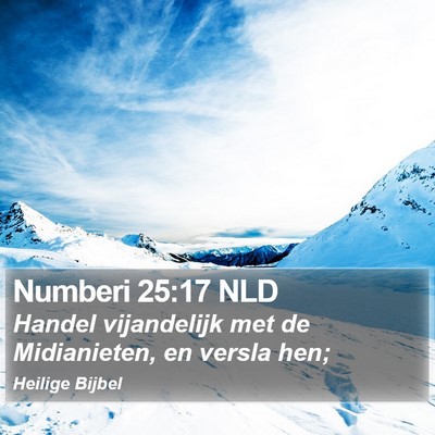 Numberi 25:17 NLD Bible Verse Image
