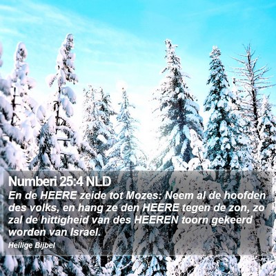 Numberi 25:4 NLD Bible Verse Image