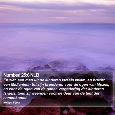 Numberi 25:6 NLD Bible Verse Image