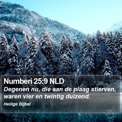 Numberi 25:9 NLD Bible Verse Image