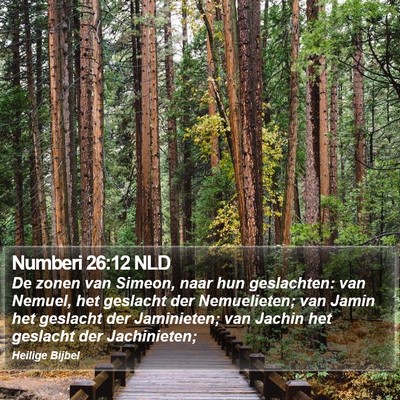 Numberi 26:12 NLD Bible Verse Image