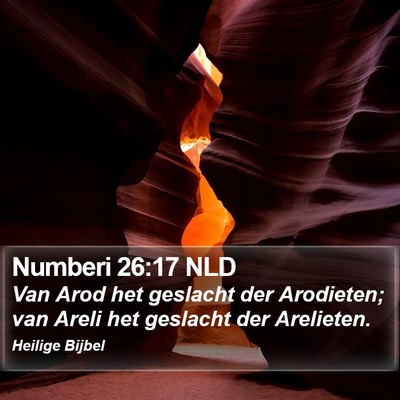 Numberi 26:17 NLD Bible Verse Image