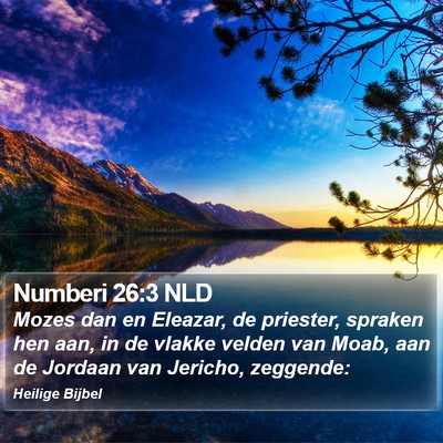 Numberi 26:3 NLD Bible Verse Image