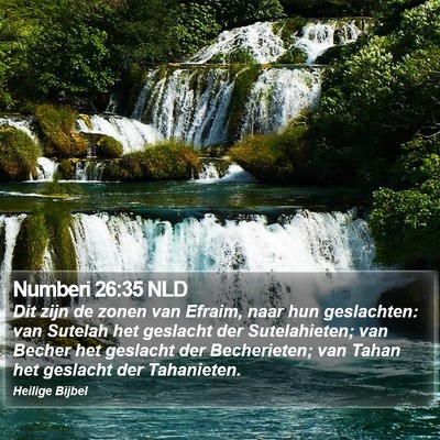 Numberi 26:35 NLD Bible Verse Image