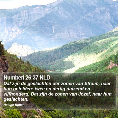 Numberi 26:37 NLD Bible Verse Image