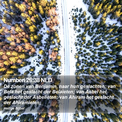 Numberi 26:38 NLD Bible Verse Image