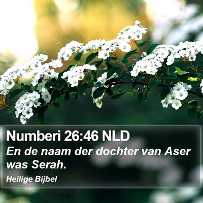 Numberi 26:46 NLD Bible Verse Image