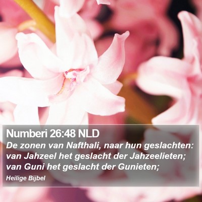 Numberi 26:48 NLD Bible Verse Image