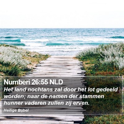 Numberi 26:55 NLD Bible Verse Image