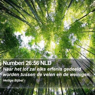 Numberi 26:56 NLD Bible Verse Image