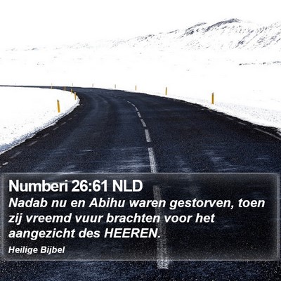Numberi 26:61 NLD Bible Verse Image