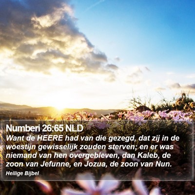 Numberi 26:65 NLD Bible Verse Image