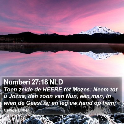 Numberi 27:18 NLD Bible Verse Image