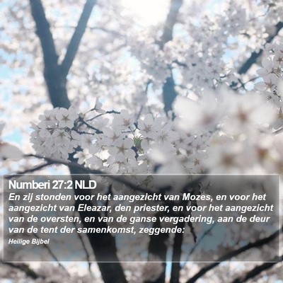 Numberi 27:2 NLD Bible Verse Image