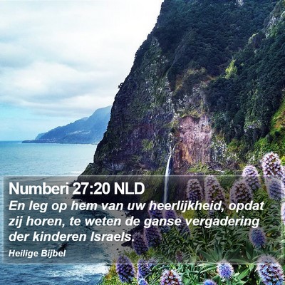 Numberi 27:20 NLD Bible Verse Image