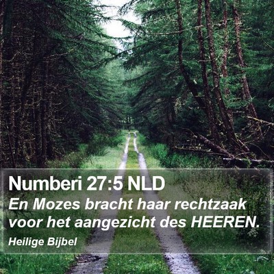 Numberi 27:5 NLD Bible Verse Image