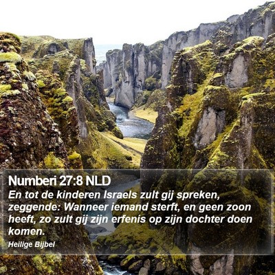 Numberi 27:8 NLD Bible Verse Image