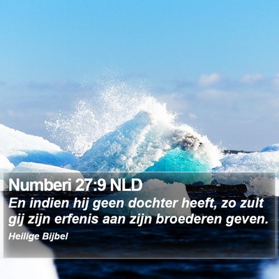 Numberi 27:9 NLD Bible Verse Image