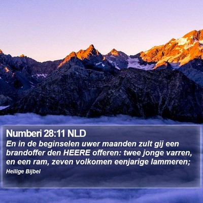 Numberi 28:11 NLD Bible Verse Image