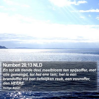 Numberi 28:13 NLD Bible Verse Image