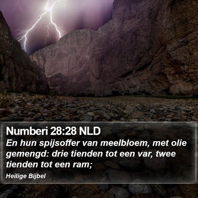 Numberi 28:28 NLD Bible Verse Image