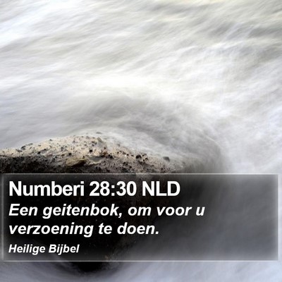 Numberi 28:30 NLD Bible Verse Image