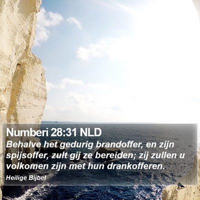 Numberi 28:31 NLD Bible Verse Image