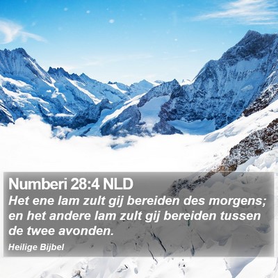 Numberi 28:4 NLD Bible Verse Image