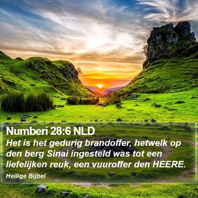 Numberi 28:6 NLD Bible Verse Image