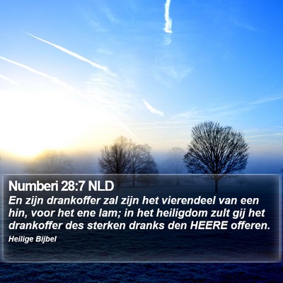 Numberi 28:7 NLD Bible Verse Image