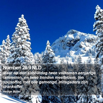 Numberi 28:9 NLD Bible Verse Image