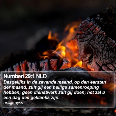 Numberi 29:1 NLD Bible Verse Image