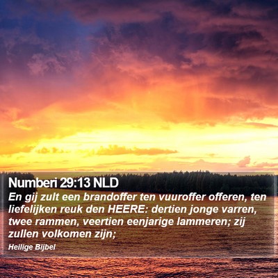 Numberi 29:13 NLD Bible Verse Image
