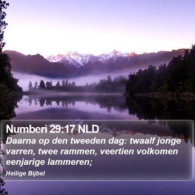 Numberi 29:17 NLD Bible Verse Image