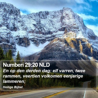 Numberi 29:20 NLD Bible Verse Image
