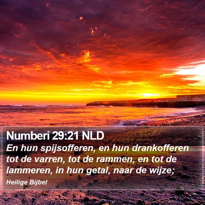 Numberi 29:21 NLD Bible Verse Image