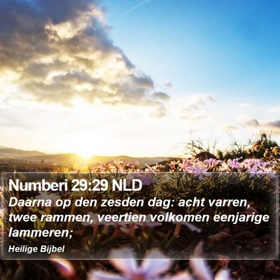 Numberi 29:29 NLD Bible Verse Image
