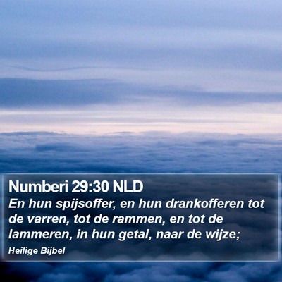 Numberi 29:30 NLD Bible Verse Image