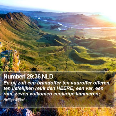 Numberi 29:36 NLD Bible Verse Image