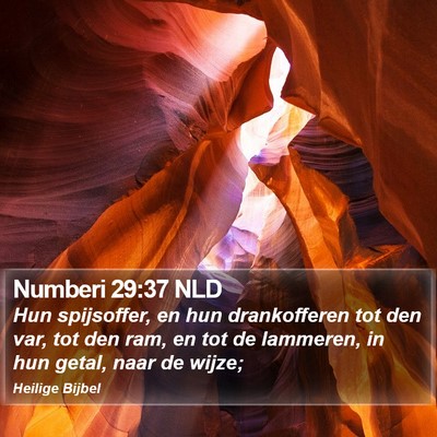 Numberi 29:37 NLD Bible Verse Image
