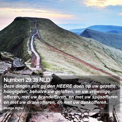 Numberi 29:39 NLD Bible Verse Image