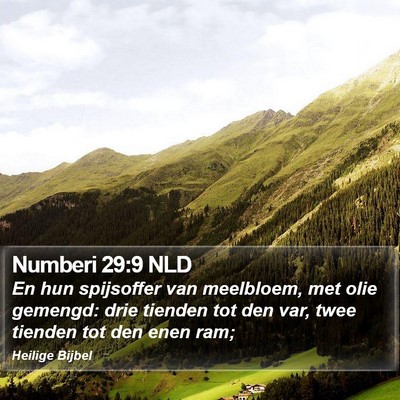 Numberi 29:9 NLD Bible Verse Image