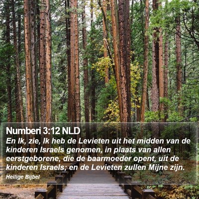 Numberi 3:12 NLD Bible Verse Image