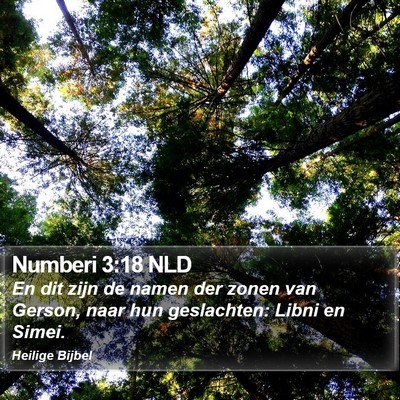 Numberi 3:18 NLD Bible Verse Image